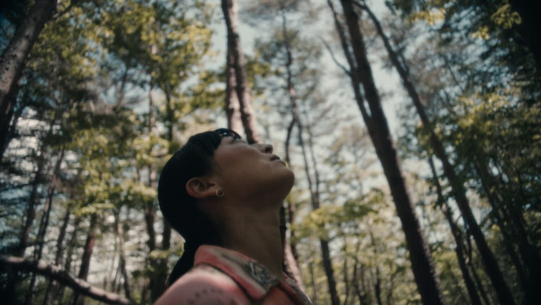 Netflix - dark fans around the world 