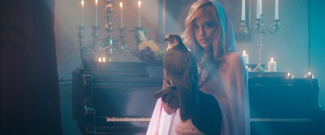 DCVDNS – NEUER ALTER SAVAS