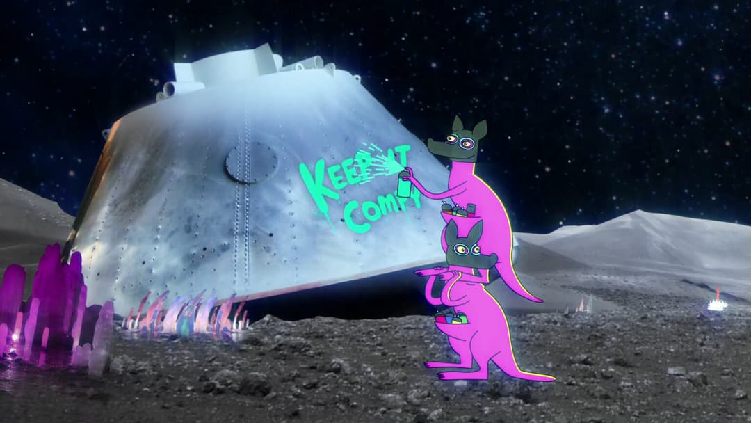 ZALANDO X VANS – COMFY CUSH