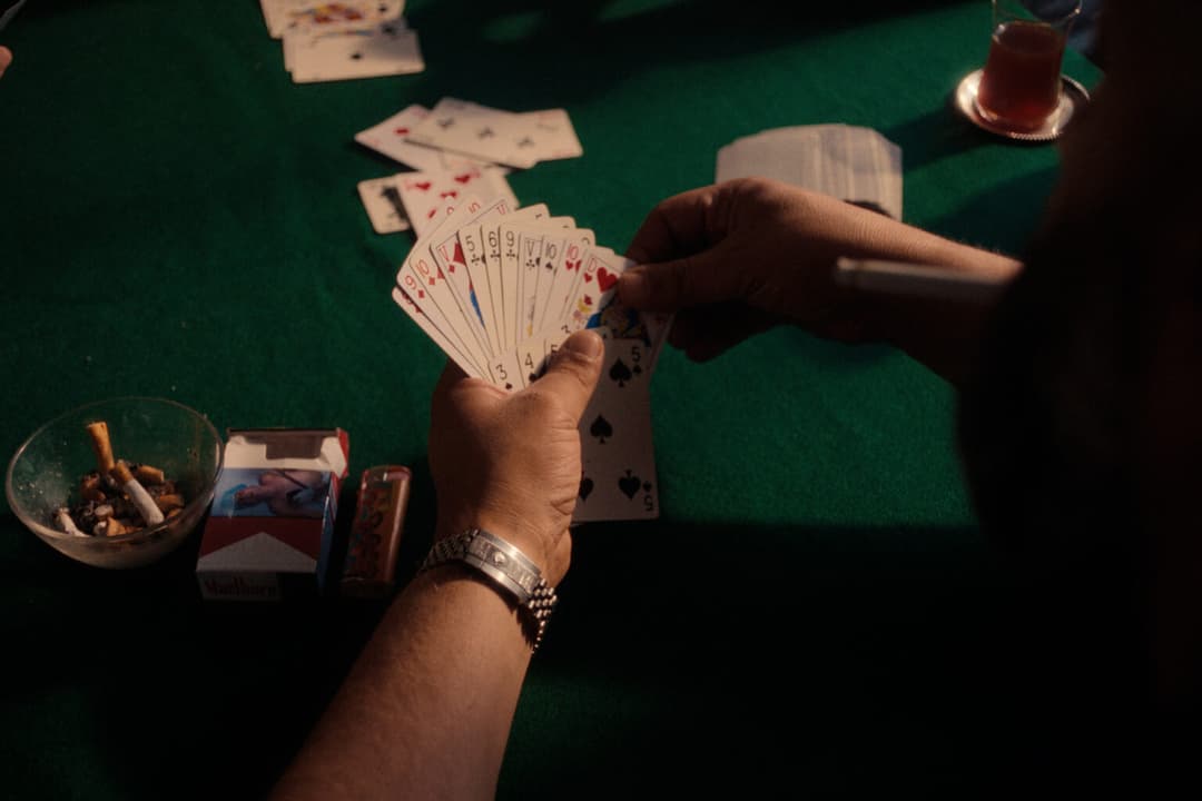 WEIL IHR NUR EURE HUNDE LIEBT- TRAILER