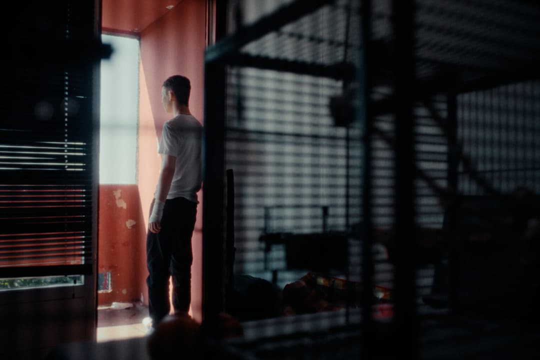 WEIL IHR NUR EURE HUNDE LIEBT- TRAILER