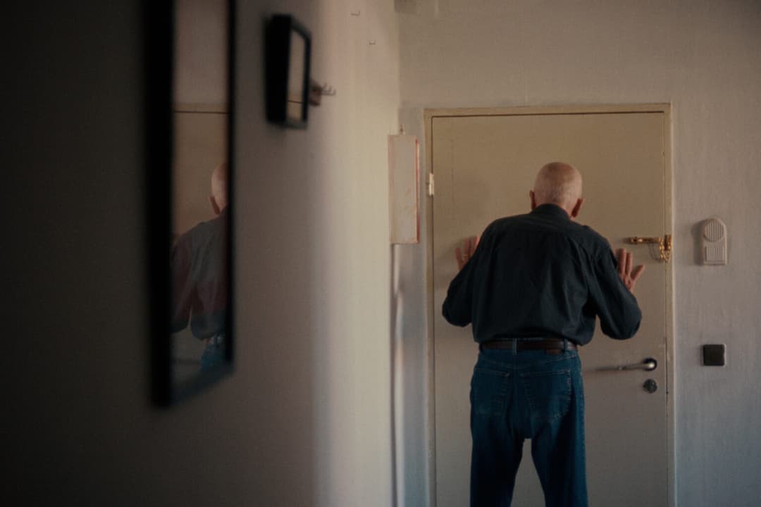 WEIL IHR NUR EURE HUNDE LIEBT- TRAILER