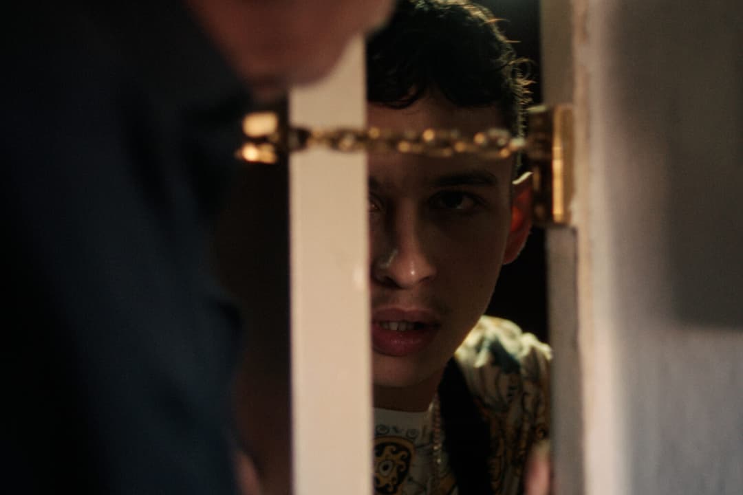 WEIL IHR NUR EURE HUNDE LIEBT- TRAILER