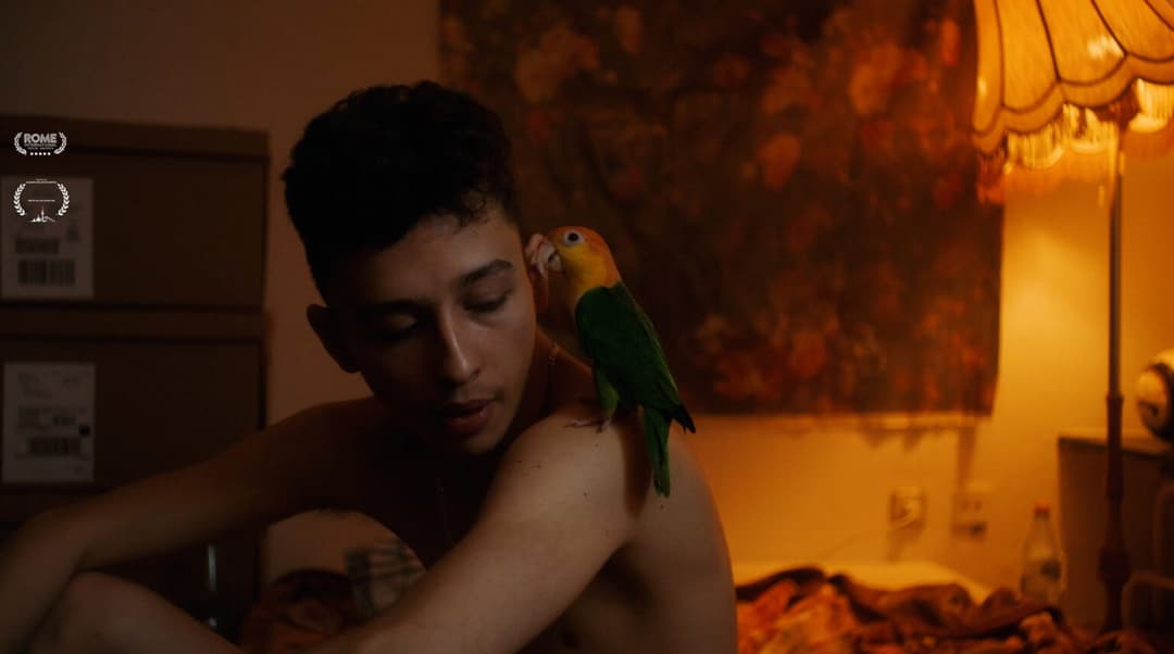 WEIL IHR NUR EURE HUNDE LIEBT- TRAILER