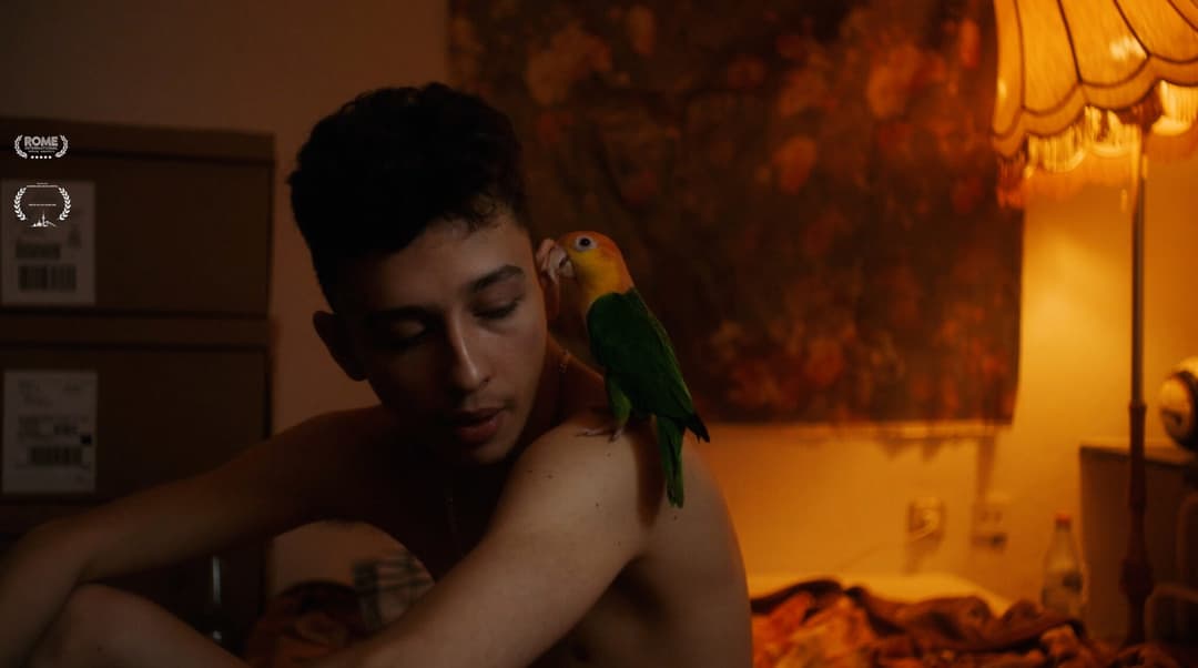 WEIL IHR NUR EURE HUNDE LIEBT- TRAILER by Chehad Abdallah, 2022 - EASYdoesit