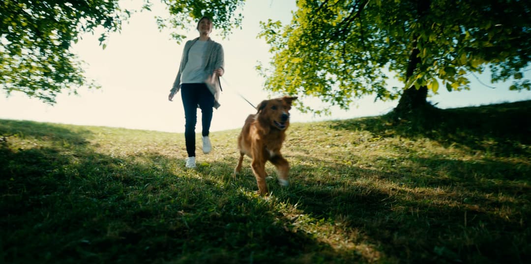 GRIPPOSTAD by Job van As, 2022 - EASYdoesit