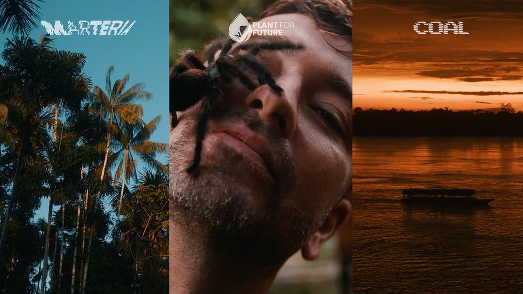 DER AMAZONAS JOB x MARTERIA by Chris Schwarz, 2022 - EASYdoesit