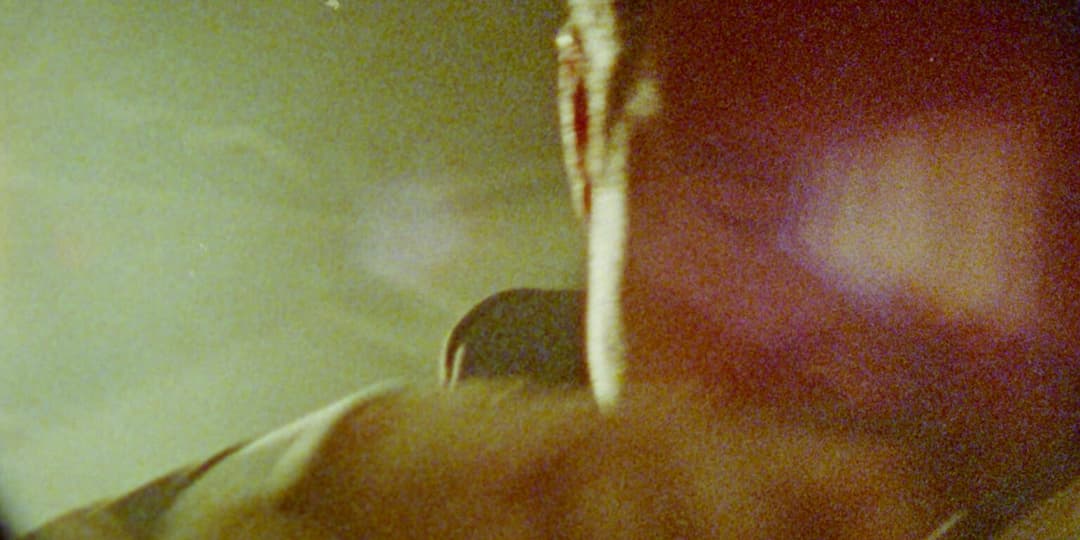 GEWANDHAUS ORCHESTER - MUSIK IST FREUDE