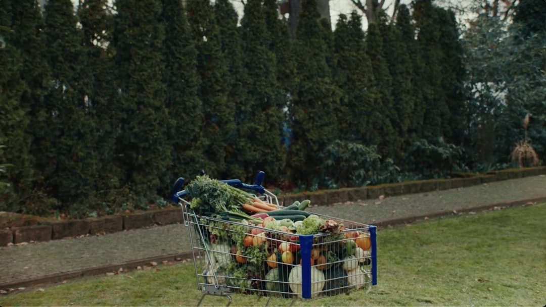 Alexander Marcus - Aldi Nord