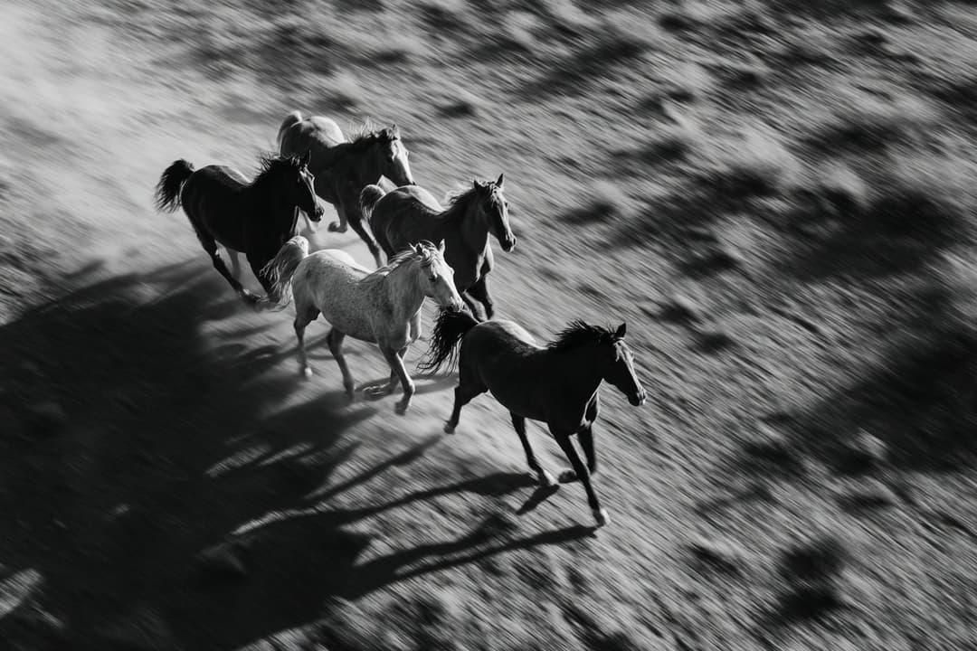 Katrin Schlotterhose