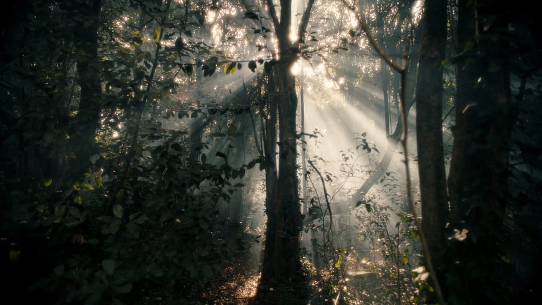 NETFLIX - DARK FANS AROUND THE WORLD by Chehad Abdallah, 2019 - EASYdoesit