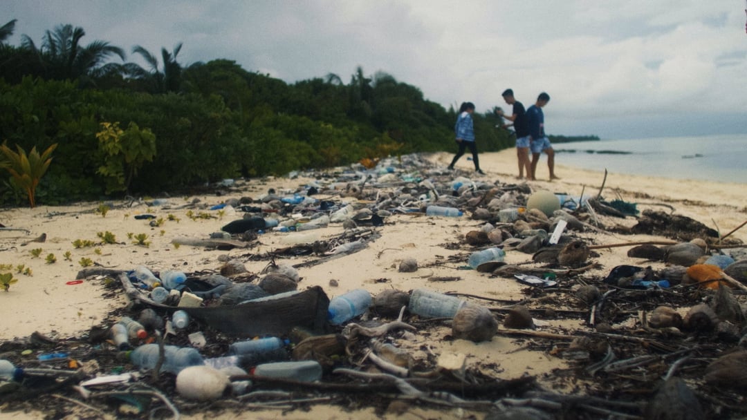 ADIDAS X PARLEY - RUN FOR THE OCEANS - EASYdoesit