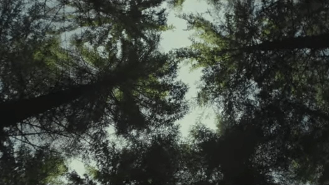 LIFT - WISHES: WORLD-DOWN-SYNDROME-DAY - EASYdoesit