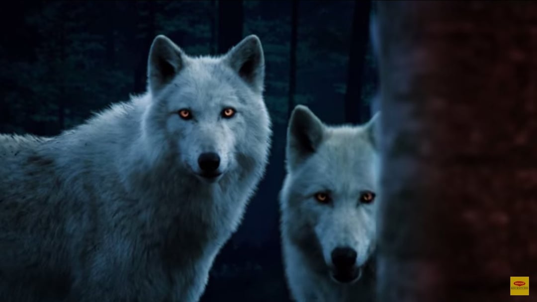 MAGGI KOCHSTUDIO – BEQUEMER GEHT’S NICHT - EASYdoesit