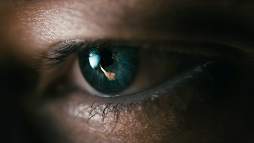 WORLD CLASS – THE ALCHEMIST by Julia Patey, 2015 - EASYdoesit