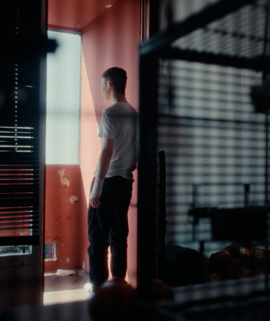 WEIL IHR NUR EURE HUNDE LIEBT- TRAILER - EASYdoesit