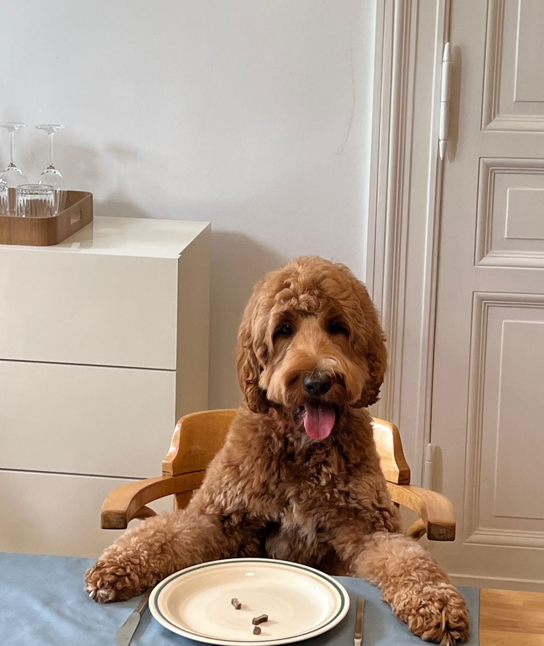 WOLT - DAS BRINGT NUR WOLT - EASYdoesit