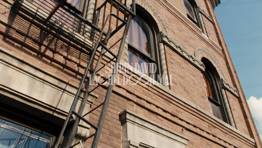 SHIRIN DAVID - LÄCHEL DOCH MAL by Tatjana Wenig, 2023 - EASYdoesit